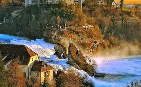 Fewo Near Rheinfall